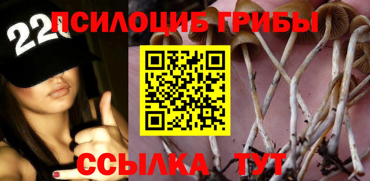 Галлюциногенные грибы Cubensis  Вход с VPN  Галлюциногенные грибы прущие грибы  Прохладный 