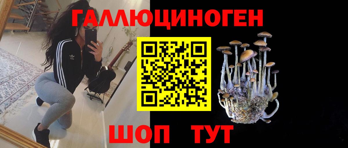Псилоцибиновые грибы Cubensis Прохладный